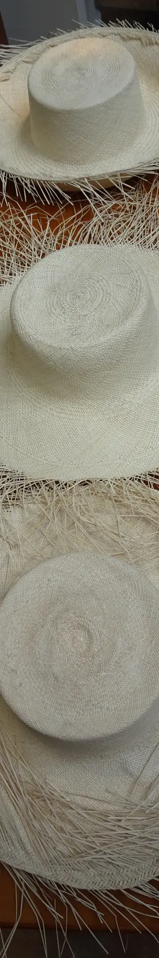 Panamahüte in Cuenca